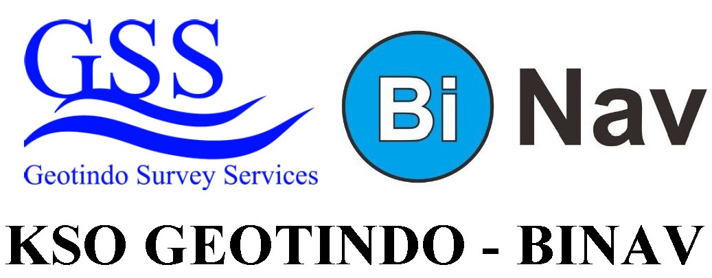 Bi Nav Logo